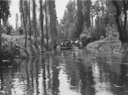Sobre la isla Tlilac en Xochimilco, con el frío calando hasta los huesos se dio a conocer ''La Llorona''. ARCHIVO  /