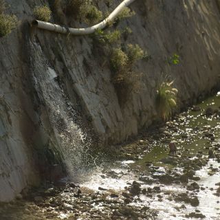 El agua roja que escupe el rastro municipal