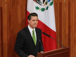 Peña Nieto también señaló que muchas de las acciones previstas dentro su gobierno se enfocarán en velar el derecho de expresión.ARCHIVO  /