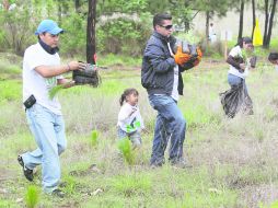 Casi un millón de árboles fueron plantados en lugares de difícil acceso en el Bosque La Primavera.  /