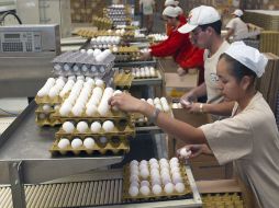 Productores y dirigentes aseguran que Ferrari tomó algunas decisiones que han complicado la situación de la industria avícola. ARCHIVO  /