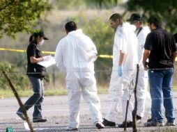 El hallazgo se realizó tras la captura de tres plagiarios. ARCHIVO  /