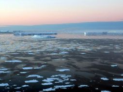 Se espera establecer la red más grande del mundo de áreas marinas protegidas en los océanos que rodean la Antártida. ARCHIVO  /