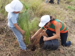 Uno de los objetivos del proyecto es fomentar entre la ciudadanía el cuidado y preservación de las zonas arboladas. ESPECIAL  /