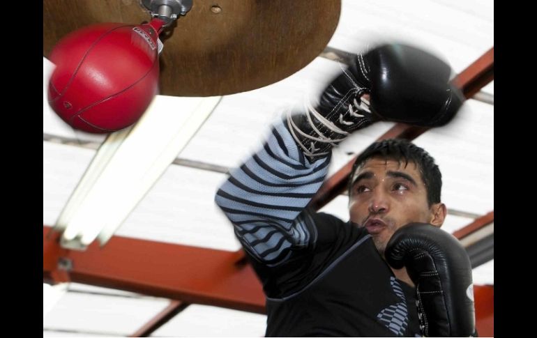 En su carrera, Erik Morales ganó los cinturones mundiales supergallo, pluma, superpluma y superligero. MEXSPORT  /
