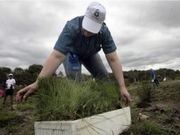 Esta es la mayor indemnización ordenada hasta ahora por una corte de EU a favor de trabajadores huéspedes. ARCHIVO  /
