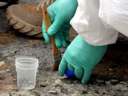 Las autoridades ya investigan los hechos. ARCHIVO  /