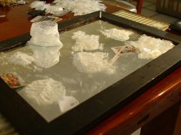 Agentes federales aprehendieron al ahora sentenciado en posesión 47 gramos con 400 miligramos de cocaína. ARCHIVO  /