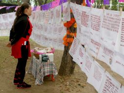 Los pañuelos fueron colocados uno al lado del otro en distintas cuerdas sostenidas de árboles en el parque.  /