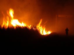 En la temporada pasada se atendieron 137 incendios forestales, de los cuales 11 mil 271 hectáreas resultaron quemadas. ARCHIVO  /