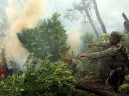 La incineración se llevó a cabo en las instalaciones del 22 Regimiento de Caballería Motorizado. ARCHIVO  /