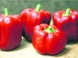 Novedoso. El proyecto de trabajo privilegia la formación de empresas integradoras para la comercialización. ESPECIAL  /