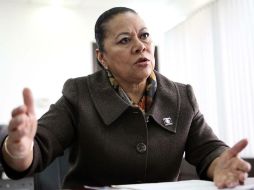 Lucila Garfias, coordinadora de Panal en la Cámara de Diputados. ARCHIVO  /