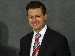 Destacan que con los ejes y las decisiones que implementará Peña se impulzará un gobierno de paz. EFE  /