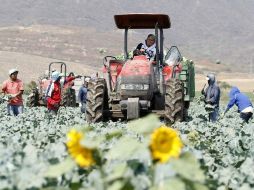 El SOFA recomendó centrarse en una serie de ámbitos con el fin de fomentar la inversión de los pequeños campesinos. ARCHIVO  /