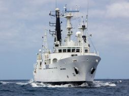 Bautizado 'Sam Simon'' en honor a uno de los coproductores de la serie de televisión ''Los Simpson''. REUTERS  /