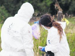 TLAJOMULCO. Especialistas forenses analizan la evidencia encontrada en las inmediaciones del libramiento El Zapote.  /