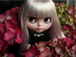 Lo que más atrae de estas muñecas es su ''fotogenia''. ESPECIAL  /