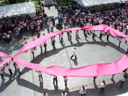 Estas nuevas líneas de investigación abrirán más campos de trabajo. ARCHIVO  /