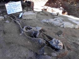 En el sitio se encontraron los restos de una familia de clase media. NTX  /