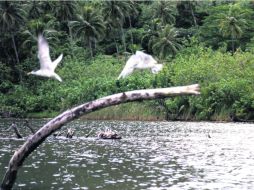 Panorámicas. Vistas que llaman la atención para ser capturadas con la lente y guardarlas para siempre en la memoria.  /