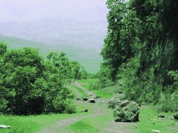 Ruta. Los deslaves del cerro hacen que la brecha sea un retador slalom de piedras y caminos desconocidos.  /