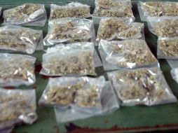 María de los Ángeles guardaba el enervante en una bolsa que llevaba colgada al hombro. ARCHIVO  /