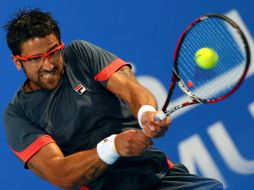 Tipsarevik terminó la temporada de 2012 como noveno jugador mundial. AFP  /