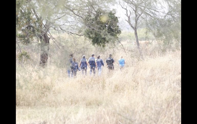 Para el Ministerio Público (M.P.) se trata de seis osamentas masculinas, cuatro de ellas completas. ARCHIVO  /