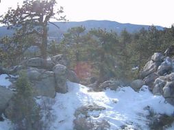 La primera tormenta invernal de la temporada provocó nevadas en Baja California, Durango y Sonora. (tomada de Twitter @metmex) ESPECIAL  /