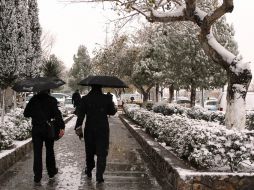Autoridades de Ciudad Juárez catalogan como históricas las nevadas debido a su intensidad. NTX /