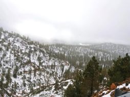 Los accesos a La Sierra de Baja California estarán cerrados hasta nuevo aviso. SUN /