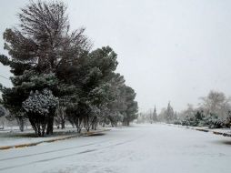 Se reportan 40 municipios nevados en Chihuahua. ARCHIVO /