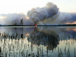 En total, ya se han quemado en este estado 131 mil hectáreas de terreno. AFP /