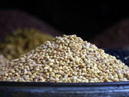 El popular frijol se cotiza actualmente por arriba de los 40 pesos, tanto en supermercados como en otros puntos de venta. ARCHIVO /