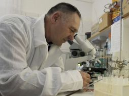 Cambio climático, investigación espacial, salud mental y seguridad son algunos de los retos de la ciencia a votar. ARCHIVO /