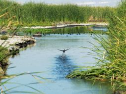 Construyen mirador en los límites de Juanacatlán y El Salto; desde donde se verá correr al Río Santiago.  /