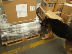 La Secretaría de Seguridad Pública indicó que la droga fue localizada por elementos del Escuadrón Canino. ESPECIAL /