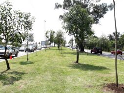 En Guadalajara 62% de sus habitantes no cuenta con las áreas verdes suficientes para mejorar su calidad de vida. ARCHIVO /