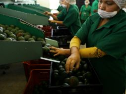 Proximamente organizarán eventos para replantear el Tratado de Libre Comercio de América del Norte. ARCHIVO /