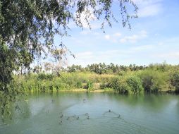 Fauna. Diferentes especies de aves o peces se distinguen a simple vista en esta sitio que conserva un armonioso paisaje.  /