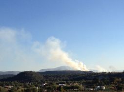 El Comité informó que en lo que va de este año se han presentado en el Bosque La Primavera cuatro incendios forestales. ARCHIVO /