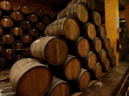 El modelo de la DO del tequila tiene resultados contundentes en beneficio del desarrollo regional. ARCHIVO /