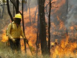 En total son más de 400 elementos los que combaten los incendios en toda la zona Costa del estado. ARCHIVO /