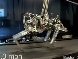 El robot que desafía la velocidad del animal más rápido, el Chita. ESPECIAL /