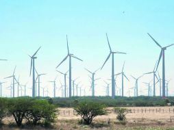 Parque eólico de Oaxaca ESPECIAL /