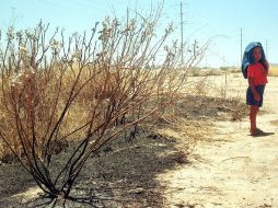 Saltillo sigue padeciendo la escasez de agua, los 82 ejidos de la ciudad han sido afectados. ARCHIVO /