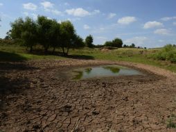 SLP está a punto de encender los focos rojos por la carencia de agua en el estado. ARCHIVO /