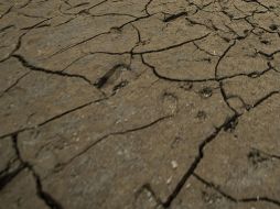Si no llueve antes, el trasvase para garantizar el abasto en esa región pudiera ser a finales de abril.  /