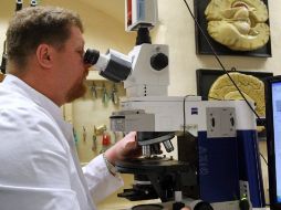 Una nueva forma de enfocar el desarrollo del cáncer, puede dar pie a una nueva forma de combatirlo. ARCHIVO /